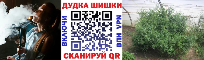 Наркотические вещества Агрыз Кокаин  Alpha-PVP  Гашиш 