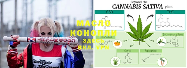 дмт Абаза